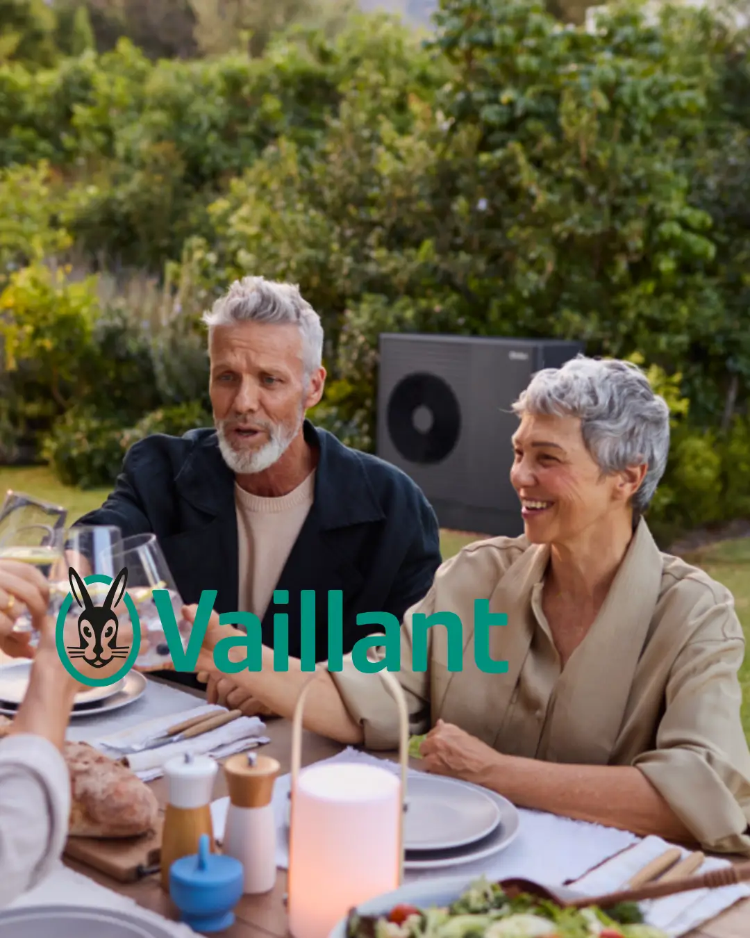 case-vaillant